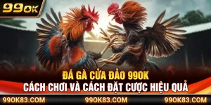 Đá Gà Cửa Đảo 99OK – Cách Chơi Và Cách Đặt Cược Hiệu Quả