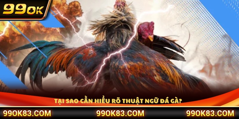 Lý do cần nắm vững các thuật ngữ đá gà