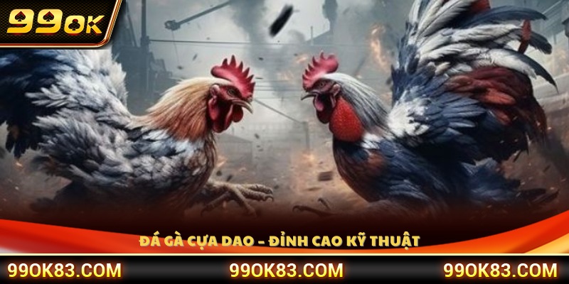 Hình thức đá gà cựa dao