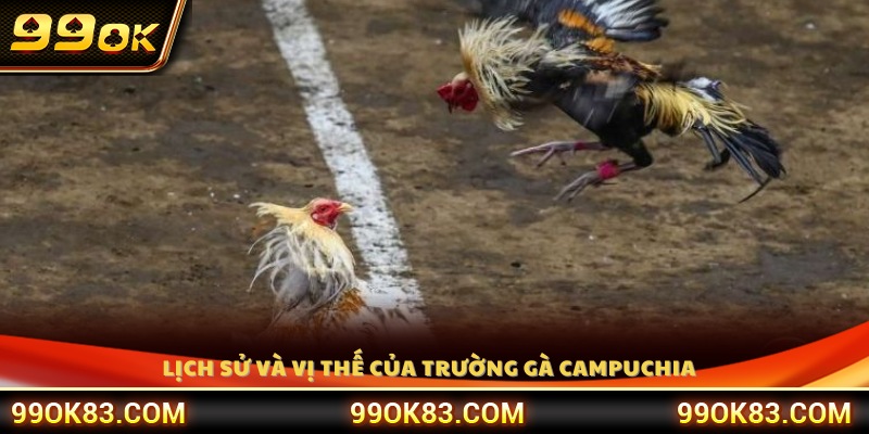 Tìm hiểu nguồn gốc phát triển của trường gà Campuchia 